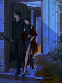 傅少的小野貓