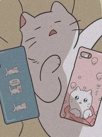 白桉是只猫妖