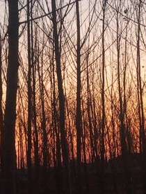 梦曦白