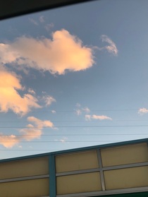 我的大学生男朋友