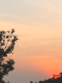 強(qiáng)攻白月光