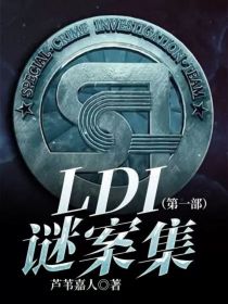 LDI谜案集（第一部）