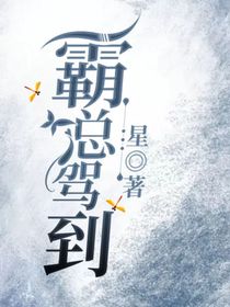 霸总驾到