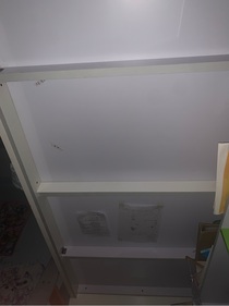 靈感筆記（嚴禁抄襲謝特）