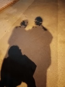 酸梅汤的夏天