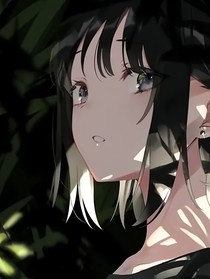 红色的玫瑰