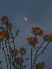 浙皖：予你詩畫