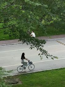 焚念49号