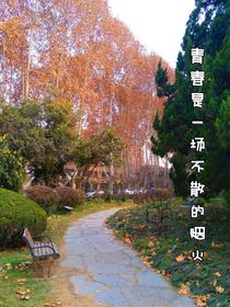 青春是一场不散的烟火