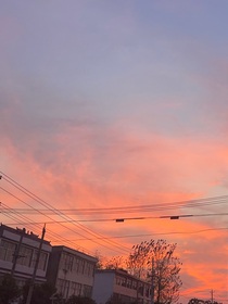 攀野