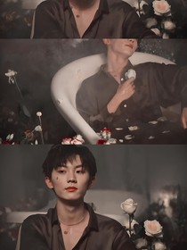 a11祺：快穿兄弟追夫記