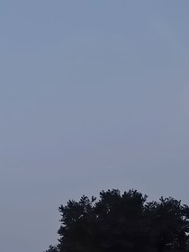 我心本向阳