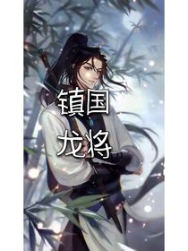 镇国龙将