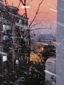 雪落左肩