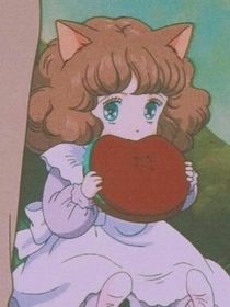 森林与猫