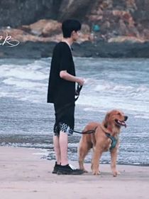 秦霄賢：梔夏