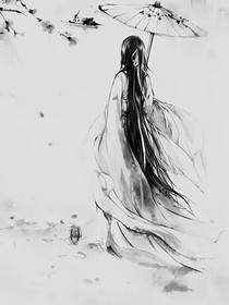 綜尋覓
