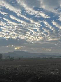 文野1