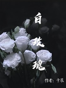 白玫瑰……眺望