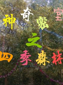 神奇密室之四季森林