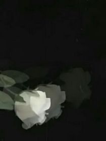 救世主——衍