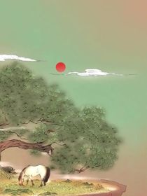 查理九世：走南闯北