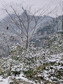 小小故事锦集