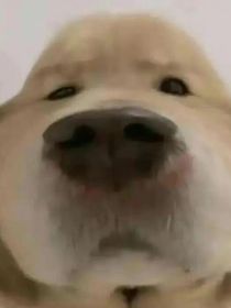 我的师父有点奇怪