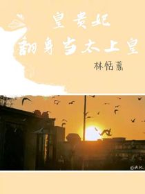 皇贵妃翻身做太上皇