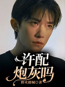 许配炮灰吗-d576