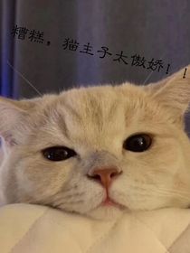 糟糕，貓主子成精了?。?！
