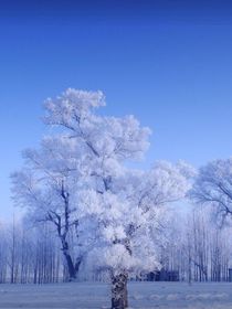 水默相思之情