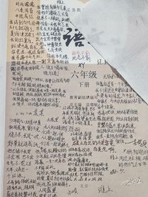 配角永远是配角-d491