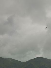 综穿之小人物