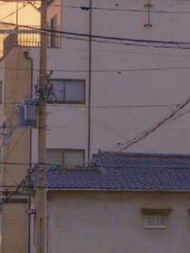 哲爱名门