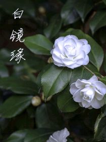 白镜缘