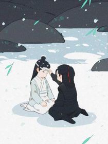 陈情令之往事如烟——d593