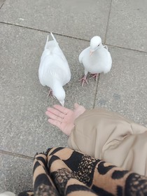 这一次，换我来守护您