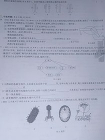 唐門(mén)中縷縷皆為絲