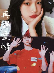 再遇爱情