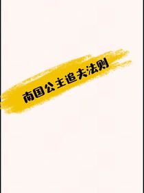 南国公主的追夫法则