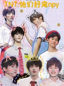 TNT：他们好宠npy