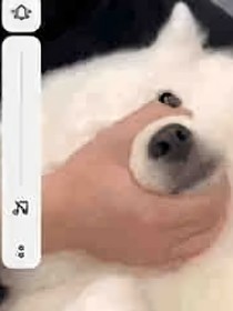 離不開你嘛