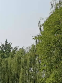 返寒春