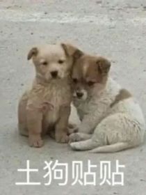 我在天庭撿破爛