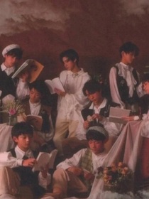 TF家族：我的后宮