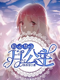 精灵梦之月公主