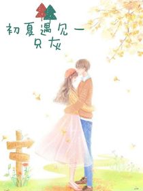 初夏遇見一只灰