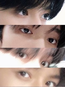 TNT：狼王的小嬌妻