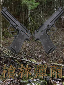 槍林彈雨